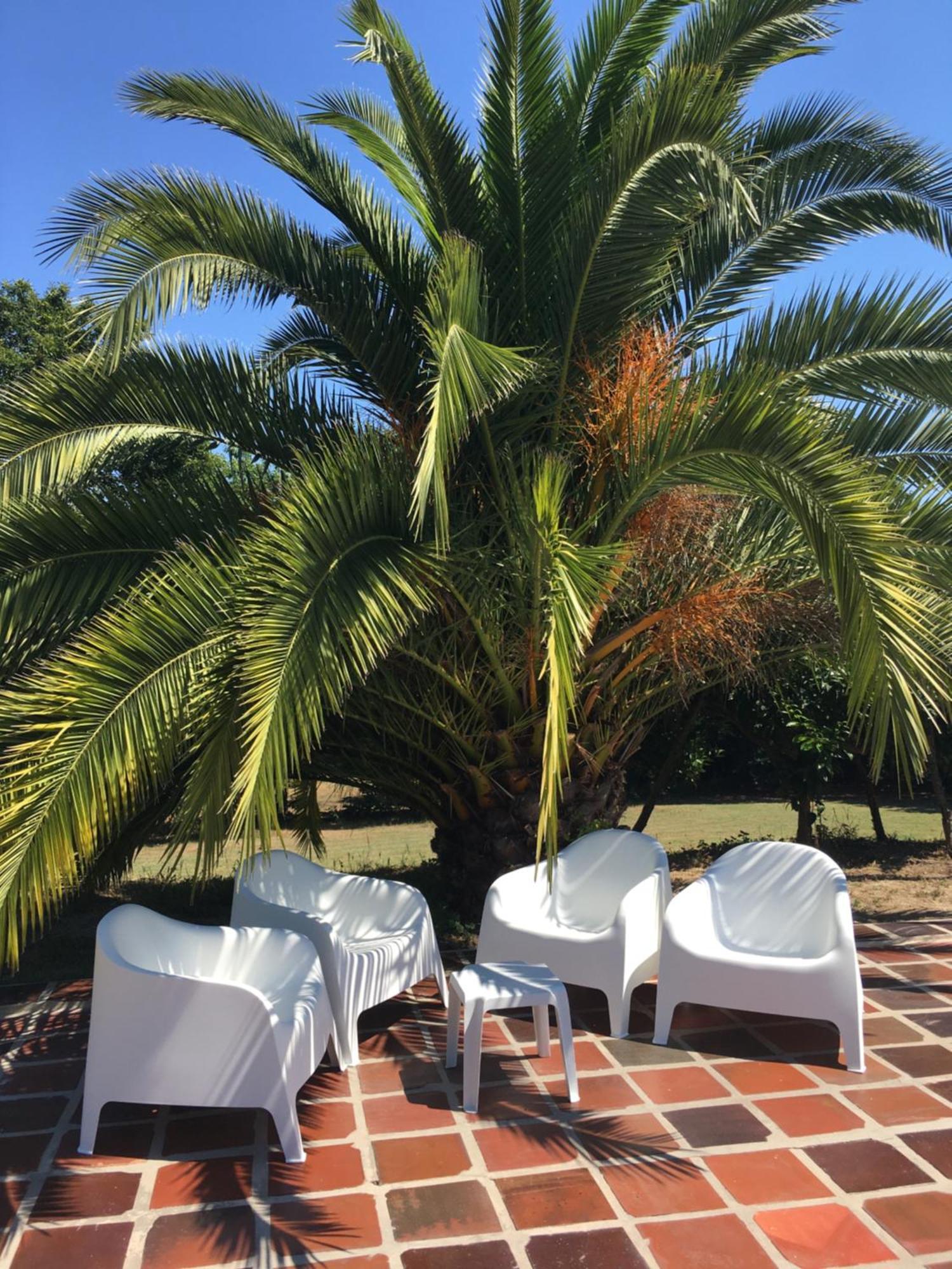 Quinta De Mocamedes - Turismo De Habitacao Hotell Vouzela Exteriör bild