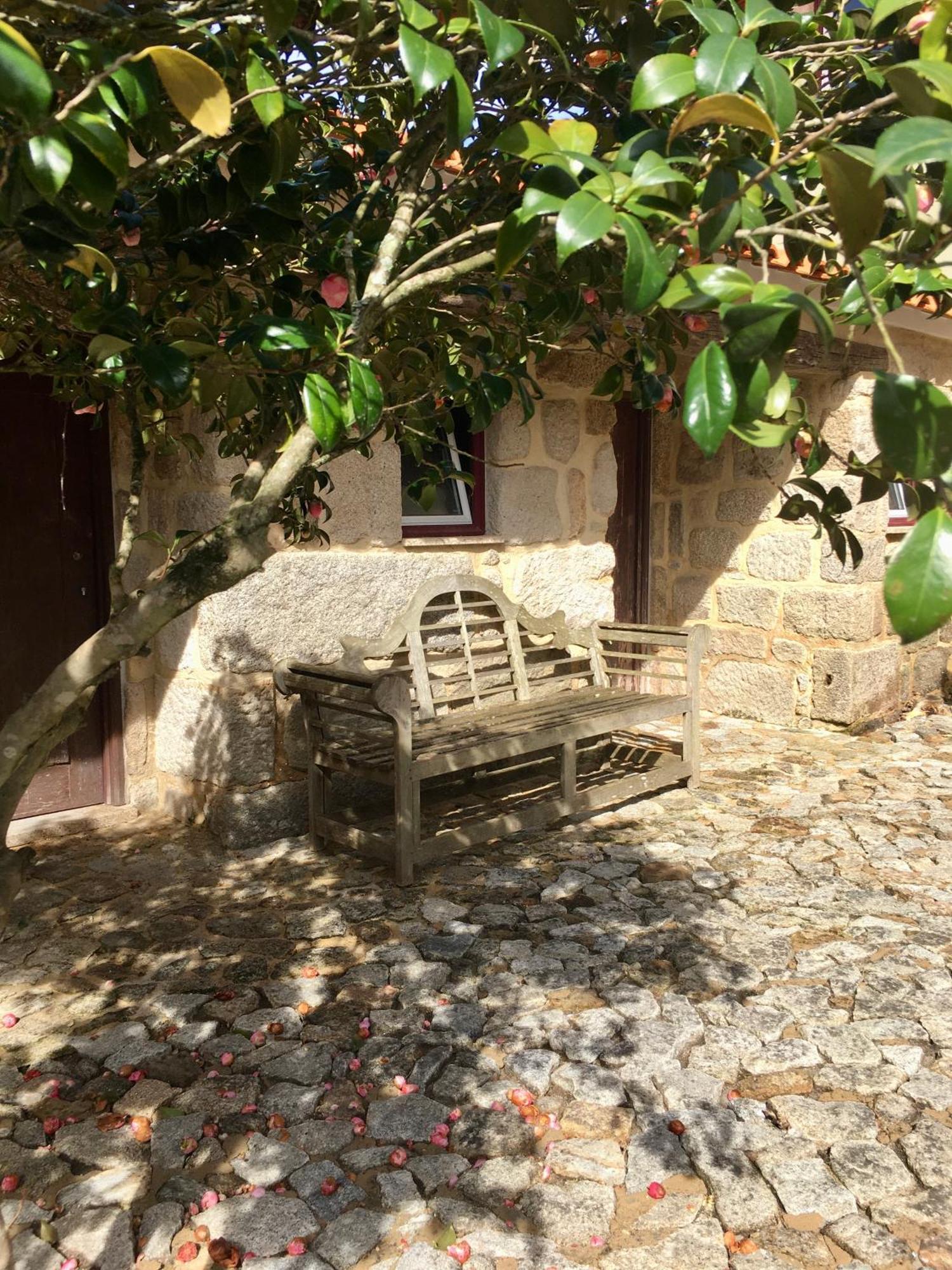 Quinta De Mocamedes - Turismo De Habitacao Hotell Vouzela Exteriör bild