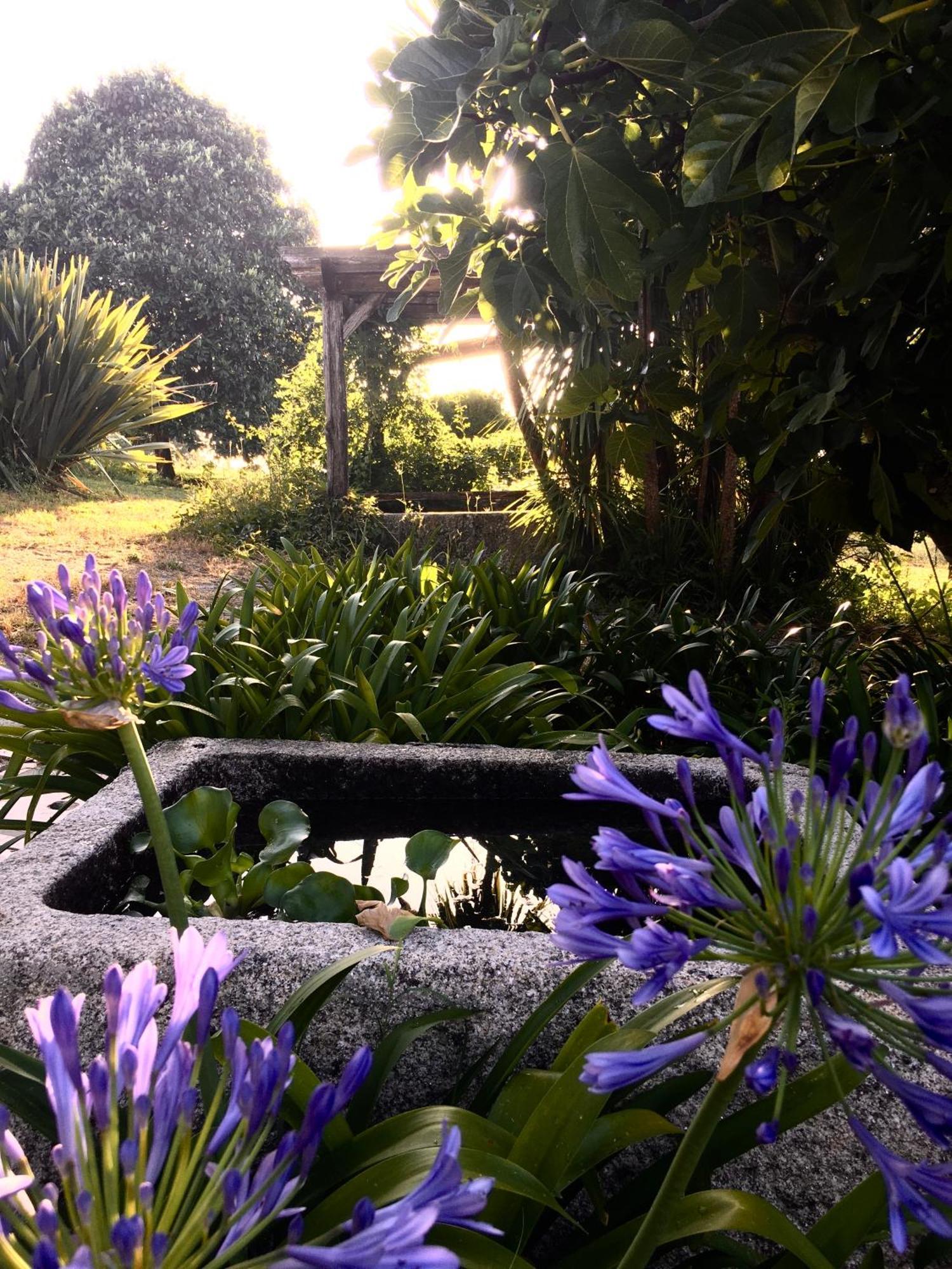 Quinta De Mocamedes - Turismo De Habitacao Hotell Vouzela Exteriör bild