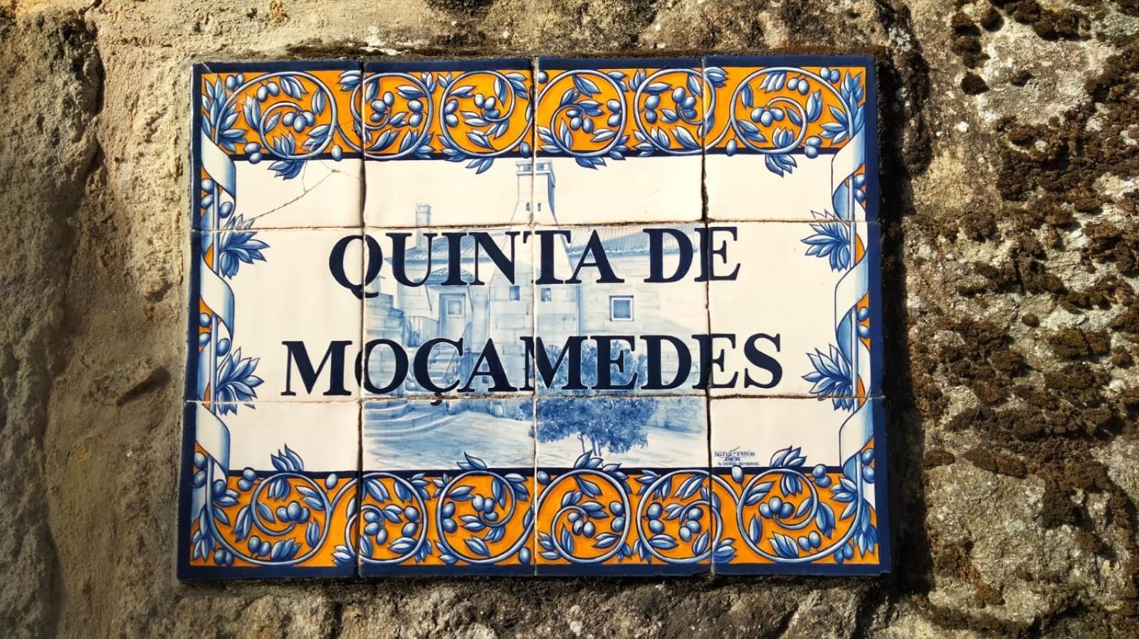 Quinta De Mocamedes - Turismo De Habitacao Hotell Vouzela Exteriör bild