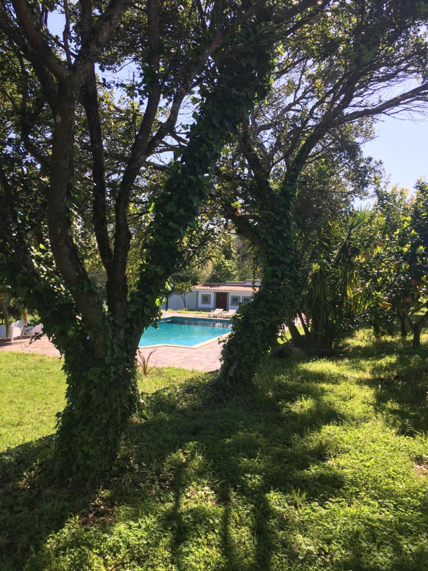 Quinta De Mocamedes - Turismo De Habitacao Hotell Vouzela Exteriör bild