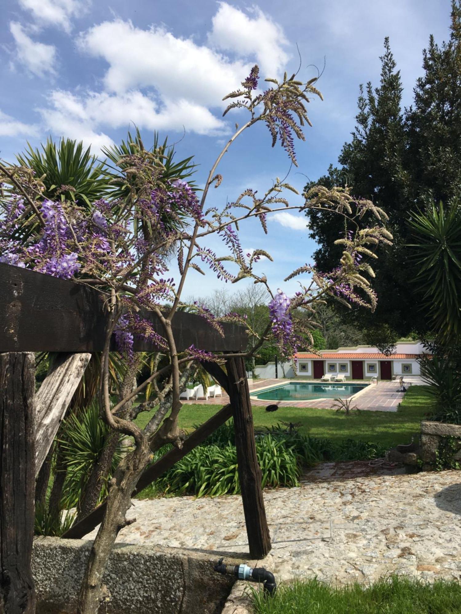 Quinta De Mocamedes - Turismo De Habitacao Hotell Vouzela Exteriör bild